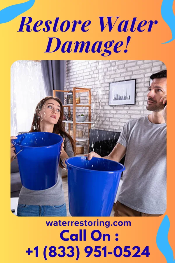 water restoration Allied Sewage Cleanup Masters San Simon